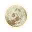 SE