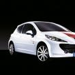 Peugeot 207 Le Mans Series 2008