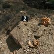 Oseminte umane, găsite în grădina fostei case a unui bărbat dat dispărut acum 13 ani