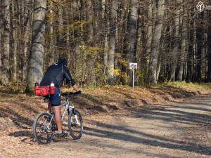 Traseu bicicletă: Pătrăuți – Dragomirna