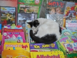 Tom... doarme. 