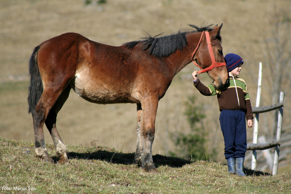 Prieteni buni, la Argel, marţi, 30 octombrie 2007