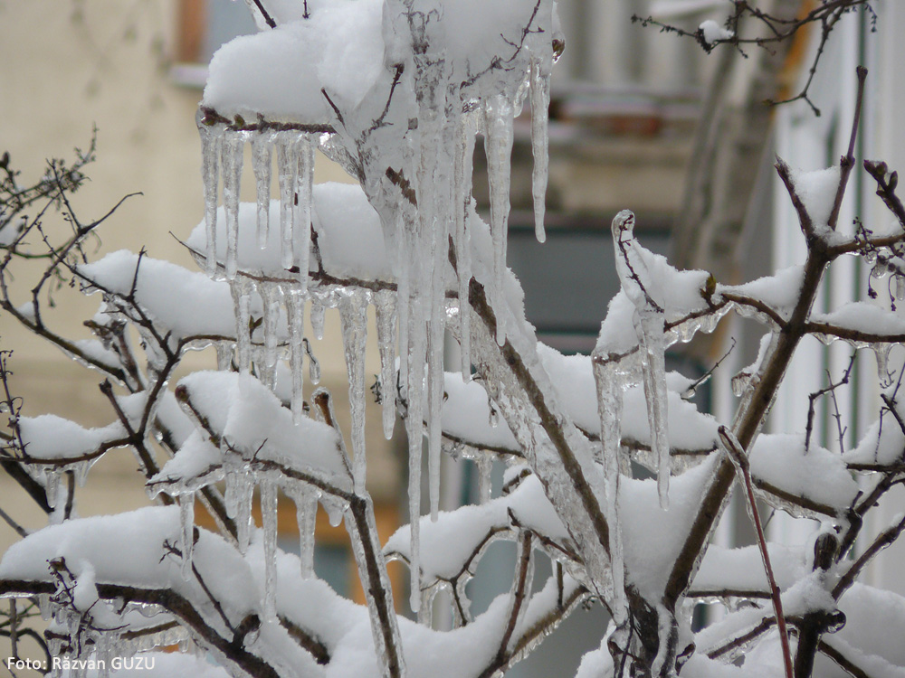Iarnă la Suceava. Decembrie 2007.