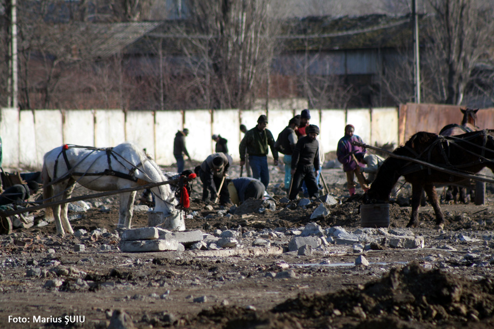 Căutătorii de fier printre ruinele ROMUPS. Suceava, 24 ianuarie 2008.