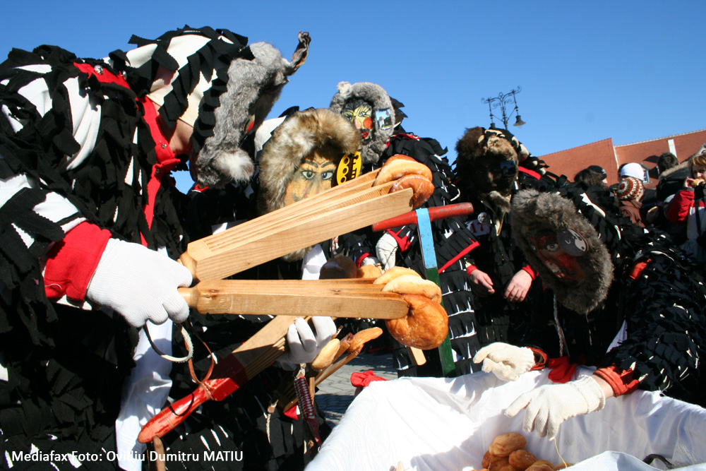 Carnavalul Lolelor. Sibiu, ianuarie 2008.