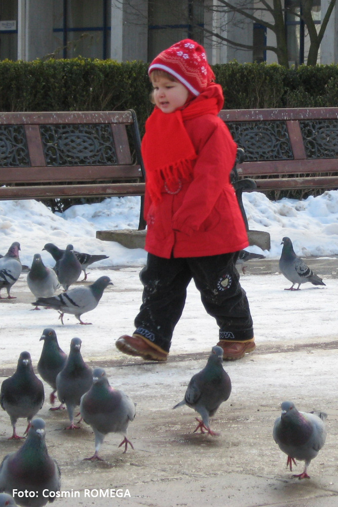 La plimbare. Suceava, ianuarie 2008.
