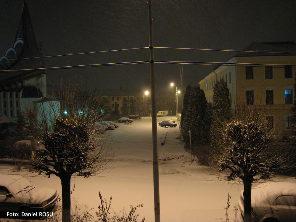 Ninsoare de februarie. Suceava, 2008.