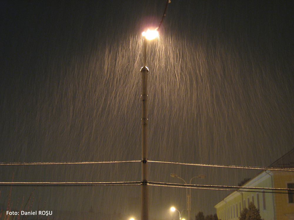 Ningere aprigă. Februarie 2008, Suceava.