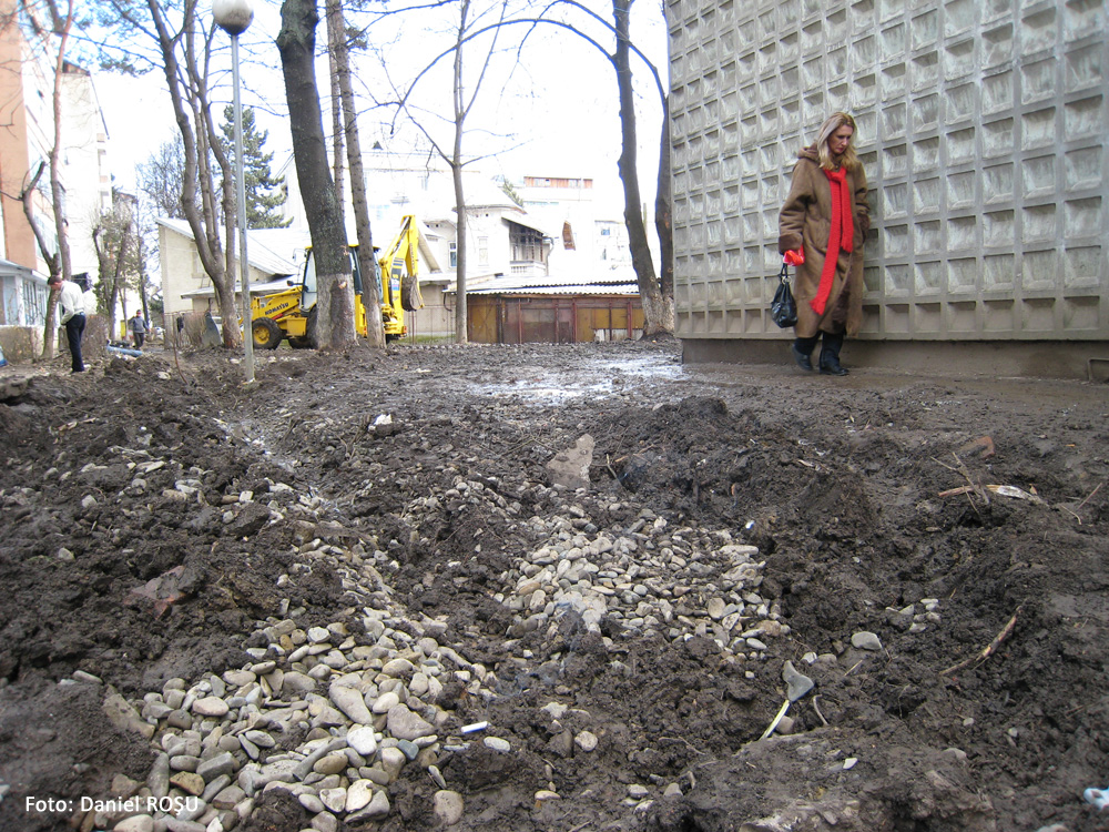 Cale de acces spre intrarea în bloc. Suceava, februarie 2008.