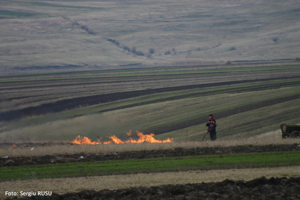 Curăţenia de primăvară. Martie, 2008.