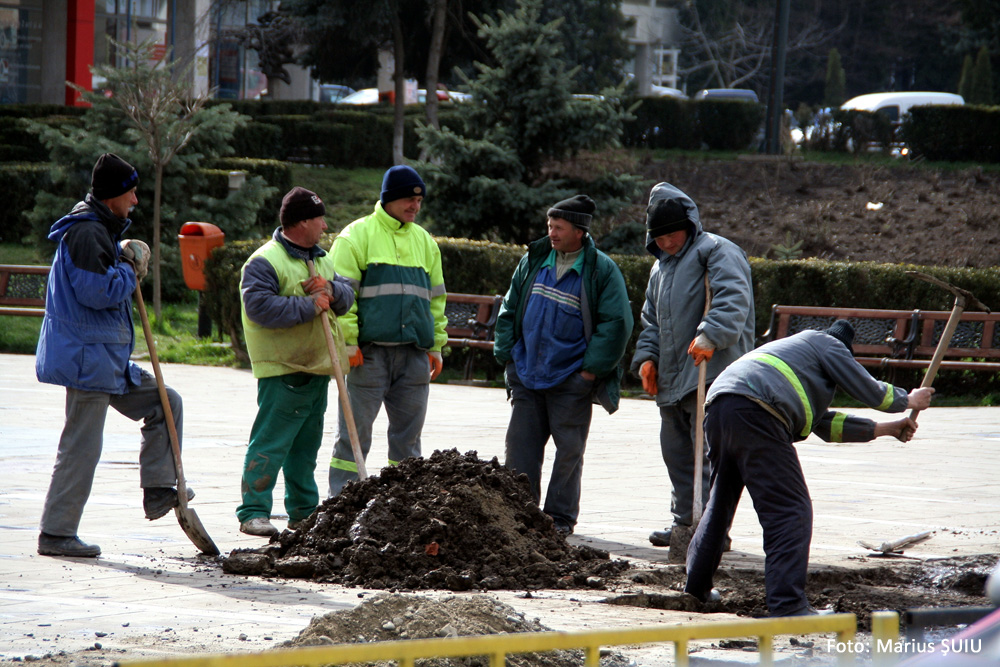 Munca în echipă. Suceava, martie 2008.