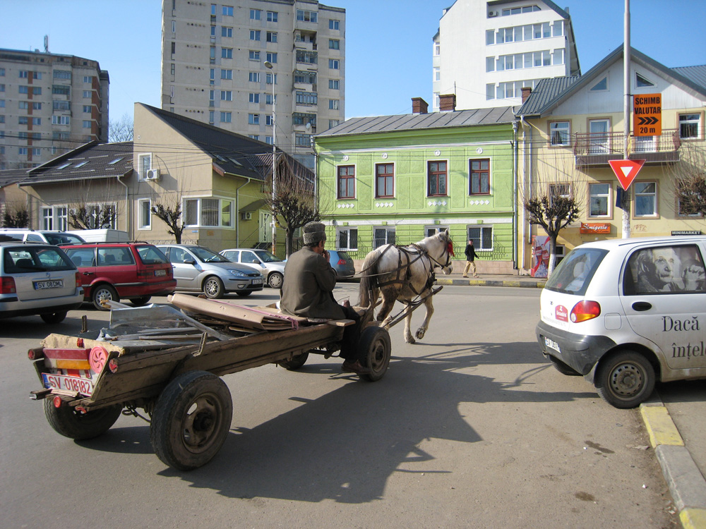 Pe Aleea Trandafirilor. Martie 2008, Suceava. Foto: Daniel ROŞU