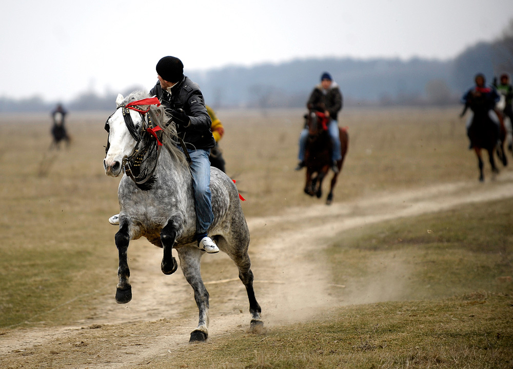 Botezul Cailor. Satul Pietroşani, judeţul Prahova, marţi, 6 ianuarie 2009. În fiecare an, de Bobotează, preotul satului botează caii cu care apoi tinerii se iau la întrecere. Foto: BOGDAN STAMATIN / MEDIAFAX FOTO