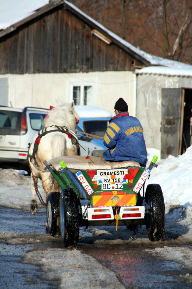 Căruţă tunată. Foto: Marius SUIU