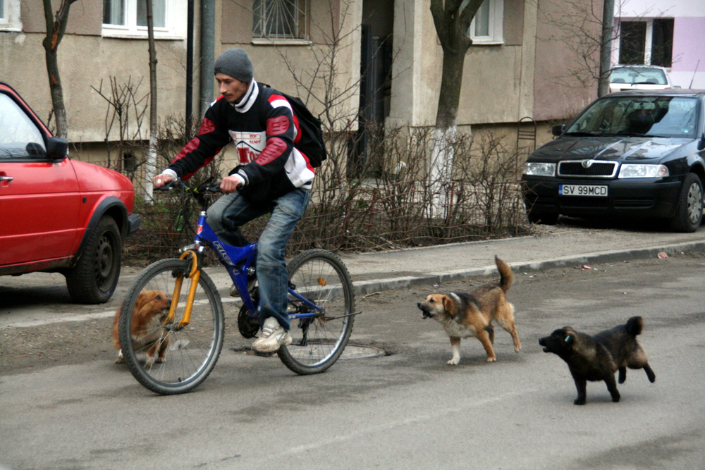 Inamicii bicicletelor. Foto: Marius SUIU