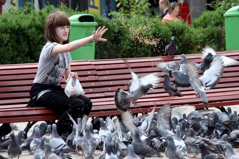 Socializând cu necuvântătoarele. Foto: Marius ŞUIU