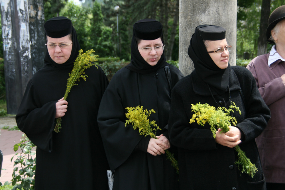 Sânziene... de Sânziene. Foto: Marius ŞUIU