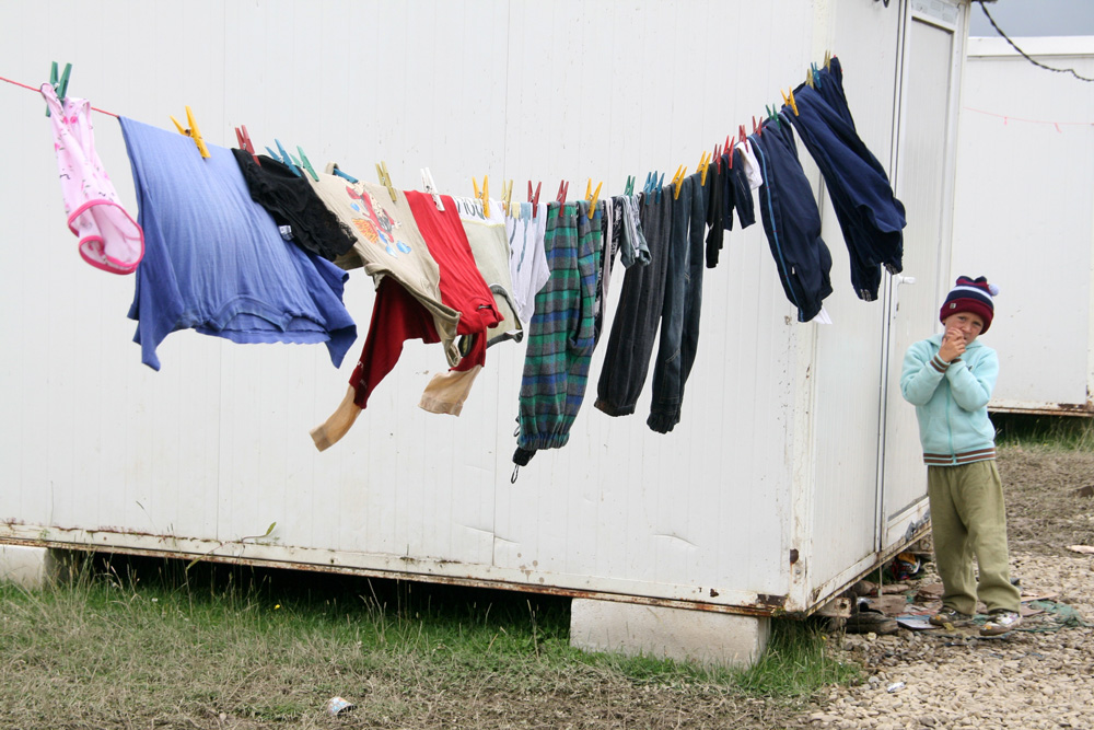 În voia naturii. Pătrăuţi, iulie 2010. Foto: Marius ŞUIU