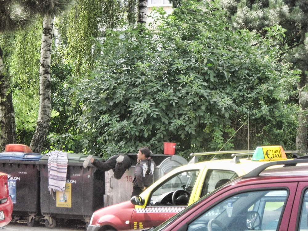 Multă determinare... pentru supravieţuire. Foto: Florin PAIU