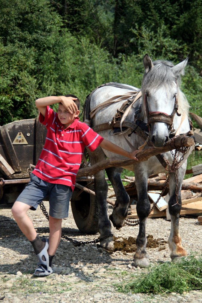 Mai luăm şi noi un repaus... Foto: Marius ŞUIU.