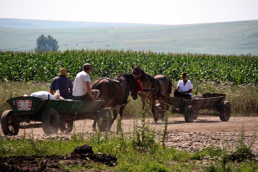 Trafic greu. Foto: Marius SUIU