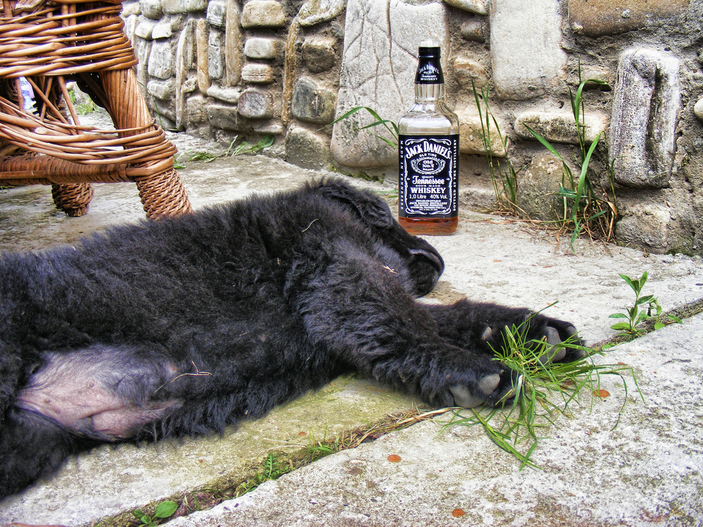 Drink responsibly! Foto: Honey CRAMARIUC