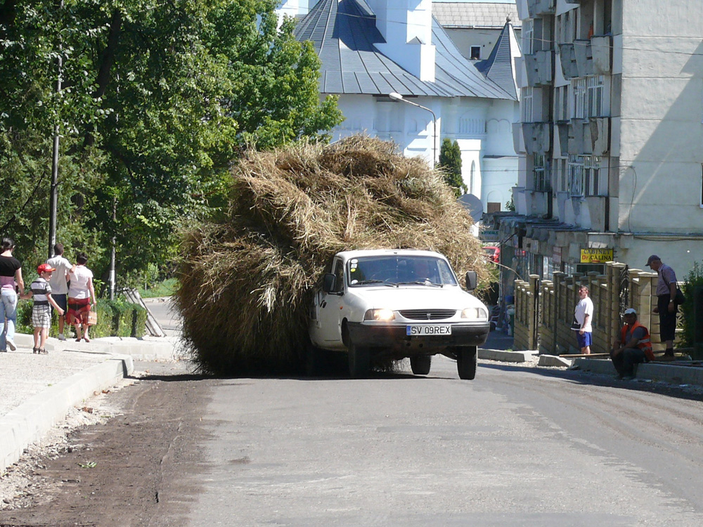 Au început transporturile specifice toamnei. Fiecare cară cu ce poate. Foto: Iustin Buculei, Falticeni