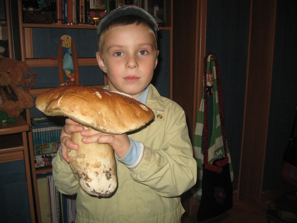 Hribul urias, din productia 2010. Foto: Florin PAIU