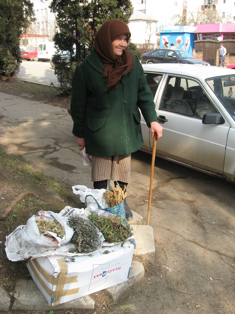 Plante de leac pentru un bănuţ în plus. Foto: Daniela MICUŢARIU
