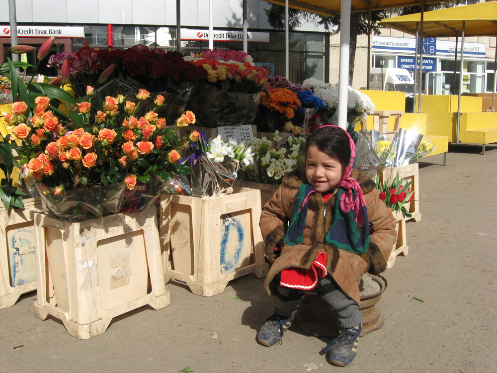 Mica florăreasă. Foto: Daniela MICUŢARIU