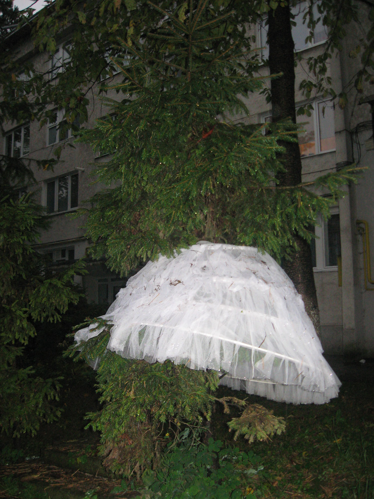 Gasit crinolina cu jupon in brad, se cauta mireasa! Foto: Cristina RUSU