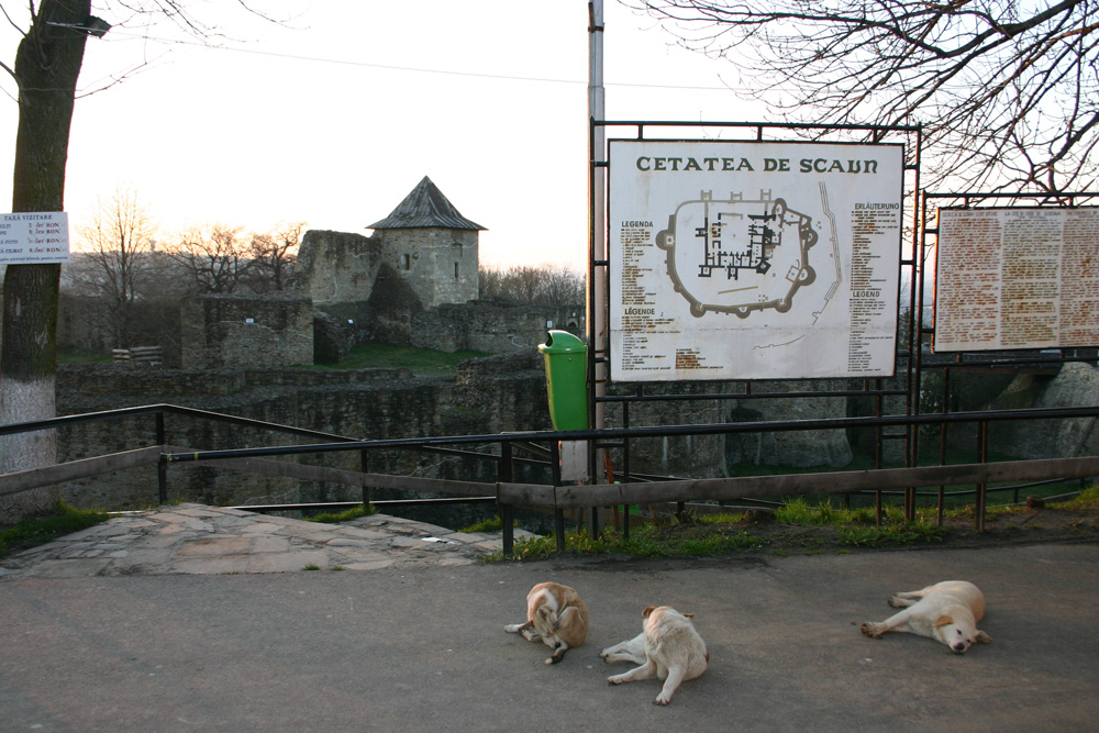 Siesta la Cetate. Foto: Sergiu RUSU
