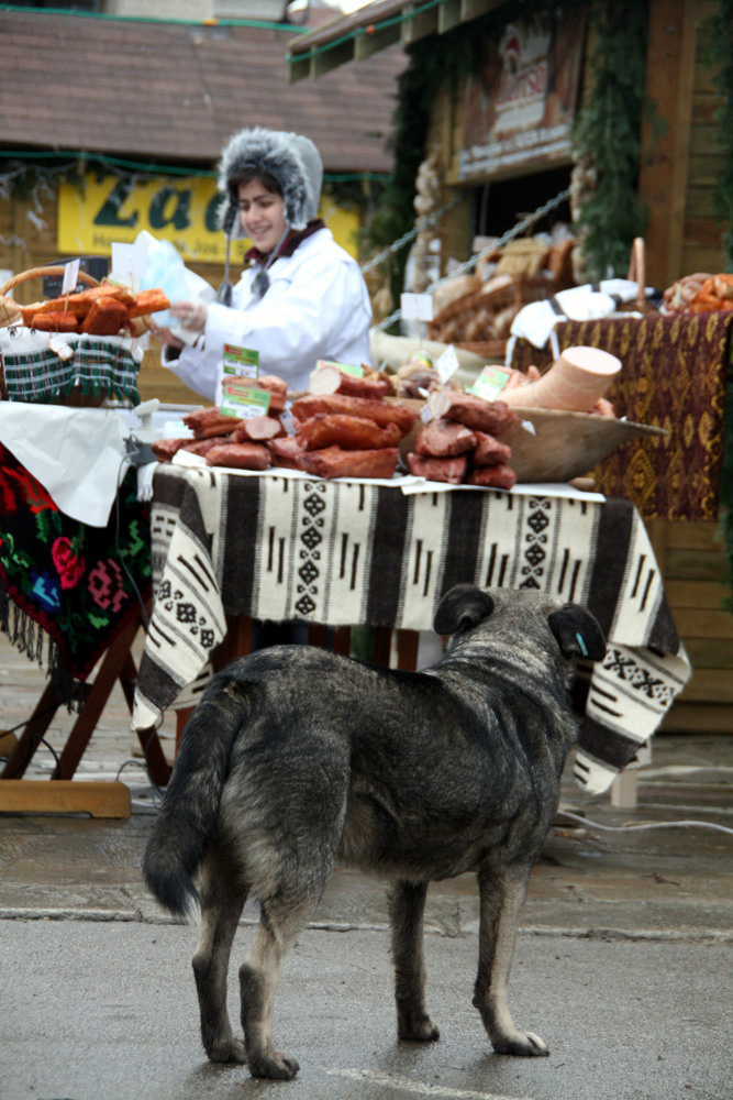 Un pranz pe cinste. Foto: Marius SUIU