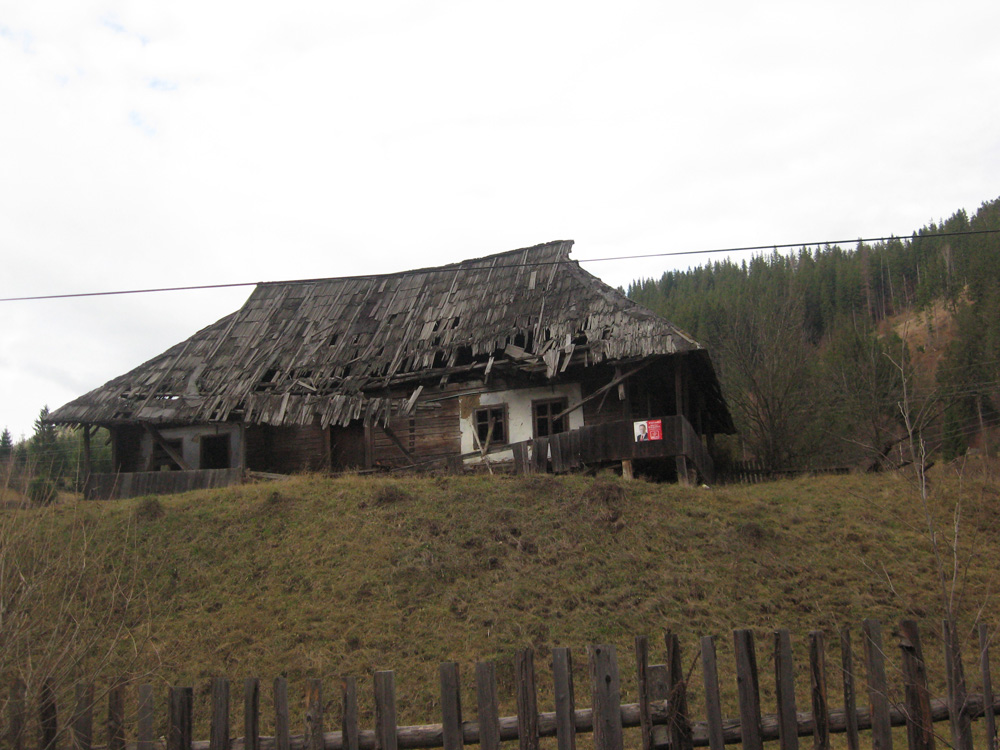 Campanie electorala printre darapanaturi. Foto: Florin PAIU