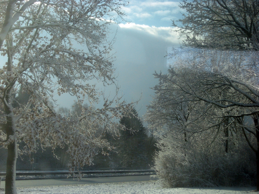 Seara de cleştar. Foto: Daniela MICUTARIU