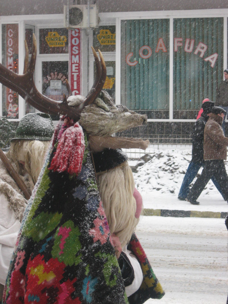 Cu capra la coafura. Foto: Cosmin ROMEGA