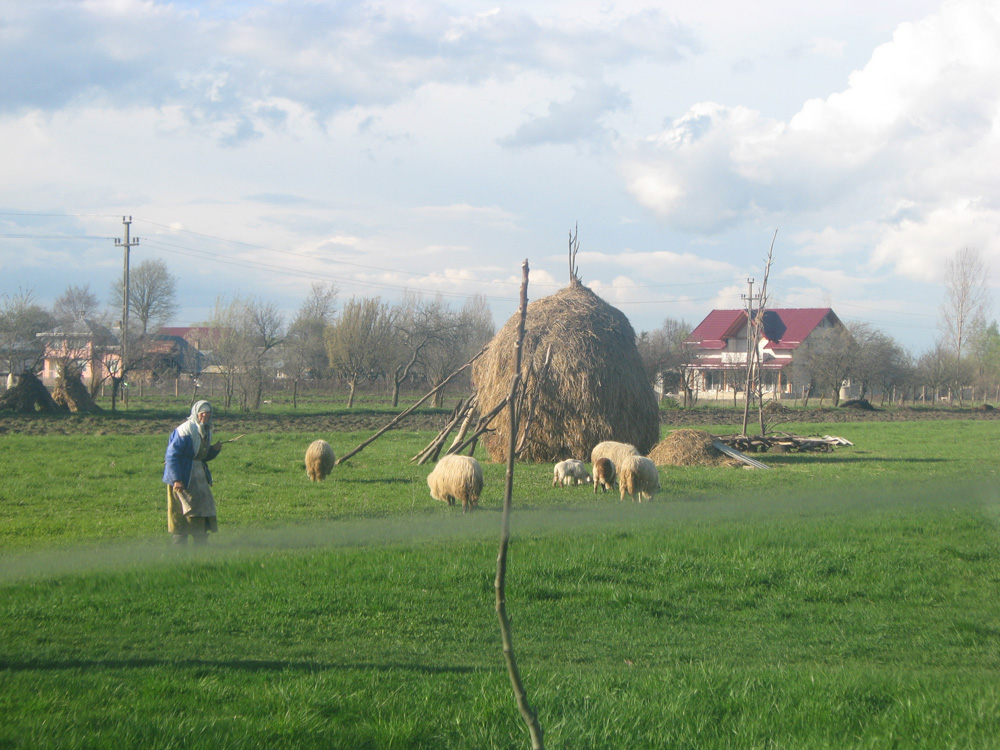 La batranete.... cand lumea abia se mai vede... Foto: Florin PAIU