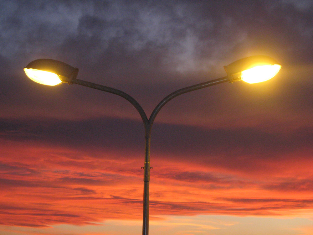 Ochii noptii. Foto: Cosmin ROMEGA