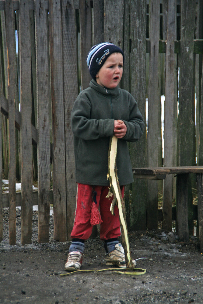 Stând de pază... Drăguşeni. Foto: Marius SUIU