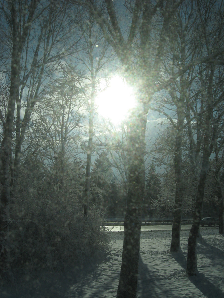 Şi s-a făcut lumină... Foto: Daniela MICUŢARIU