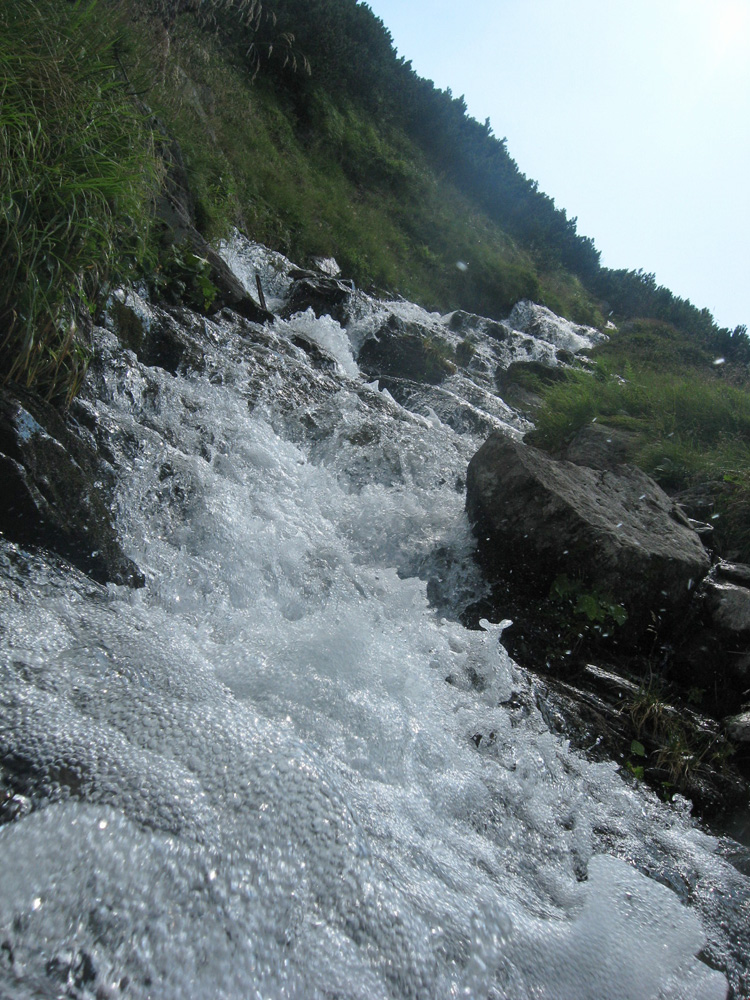 Natura în toată splendoarea ei. Foto: Florin PAIU