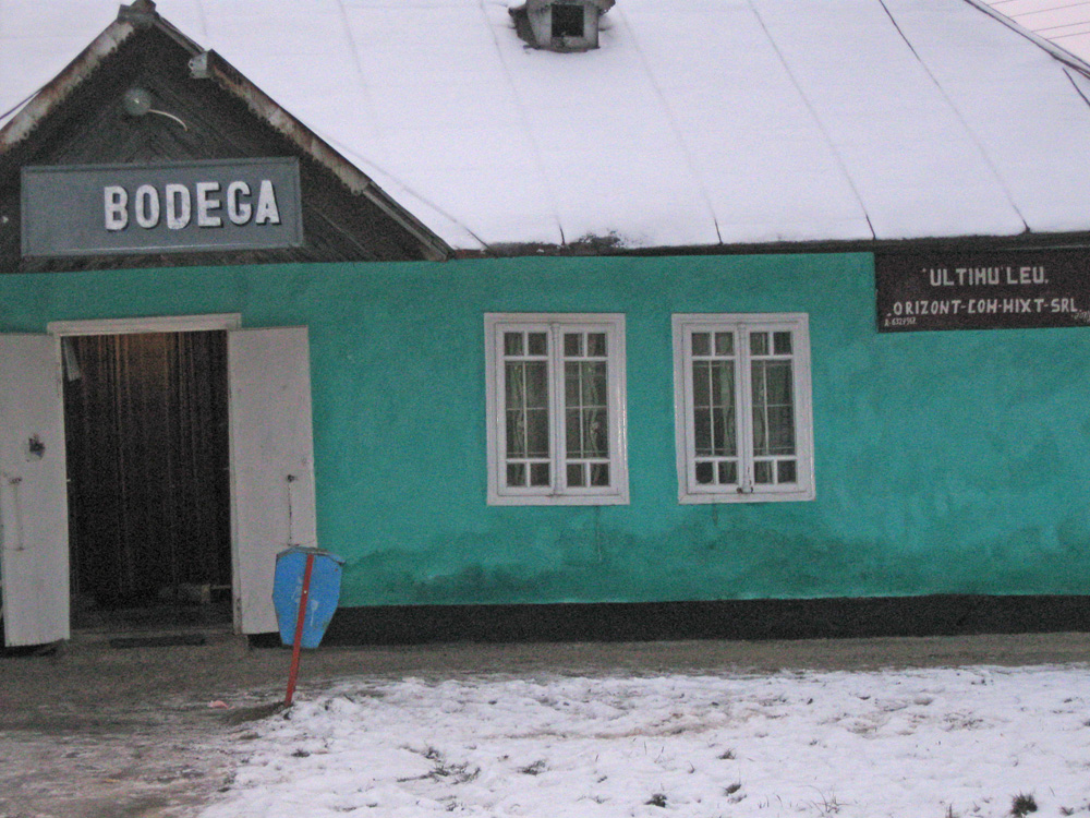 Ultimul leu, la bodegă. Foto: Cristina RUSU