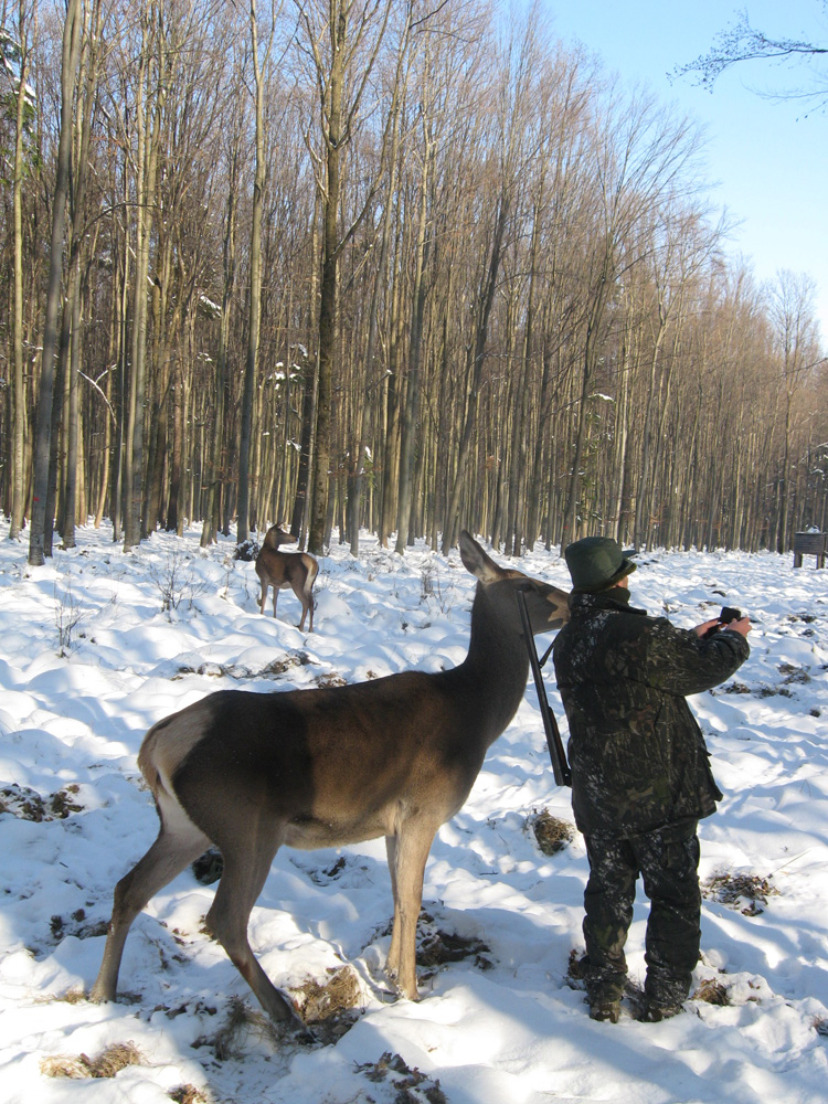 Zâmbeşte la cameră!