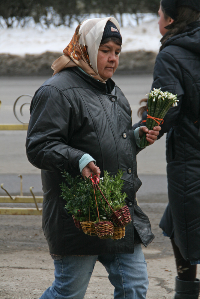 Hai cu ghioceii! Foto: Marius Şuiu