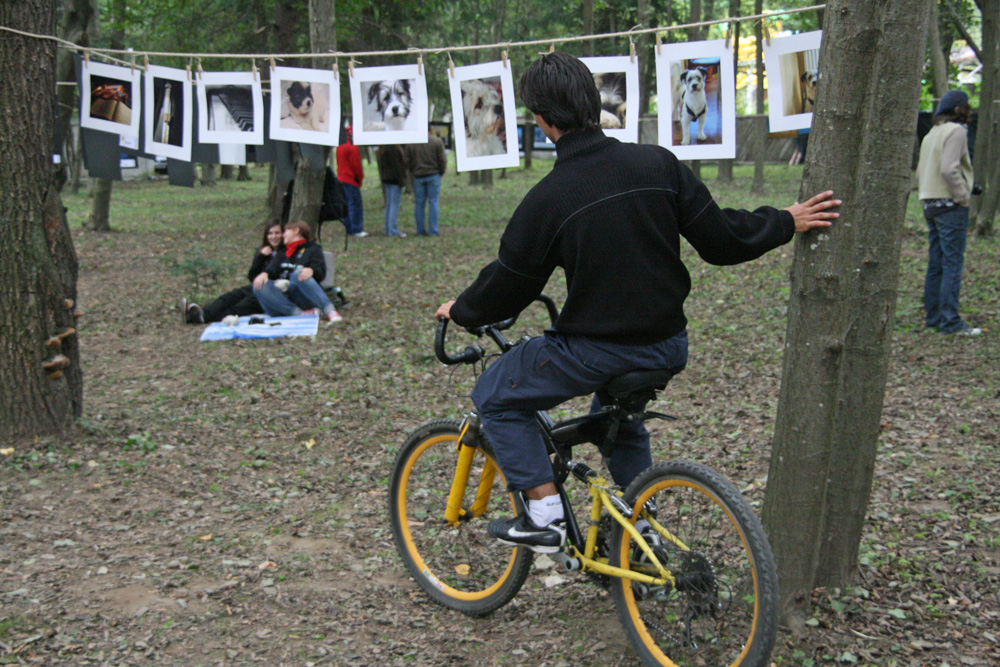 Cu bicicleta... la 