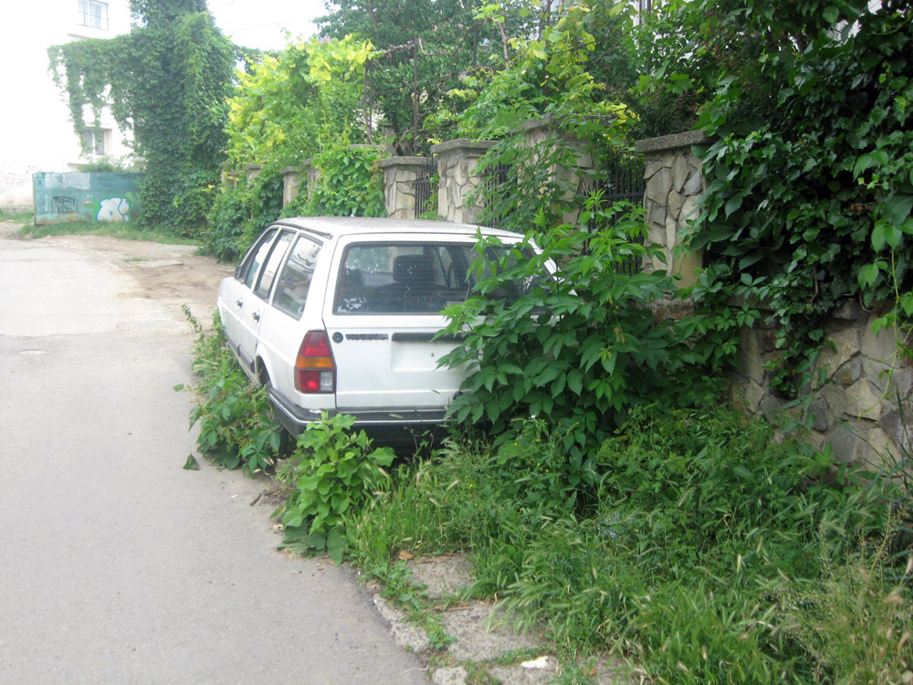 VW crescut printre bălării pe strada Oituz din Suceava. Foto: Florin PAIU