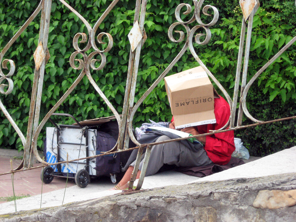 Fără cuvinte... Foto: Daniela MICUŢARIU