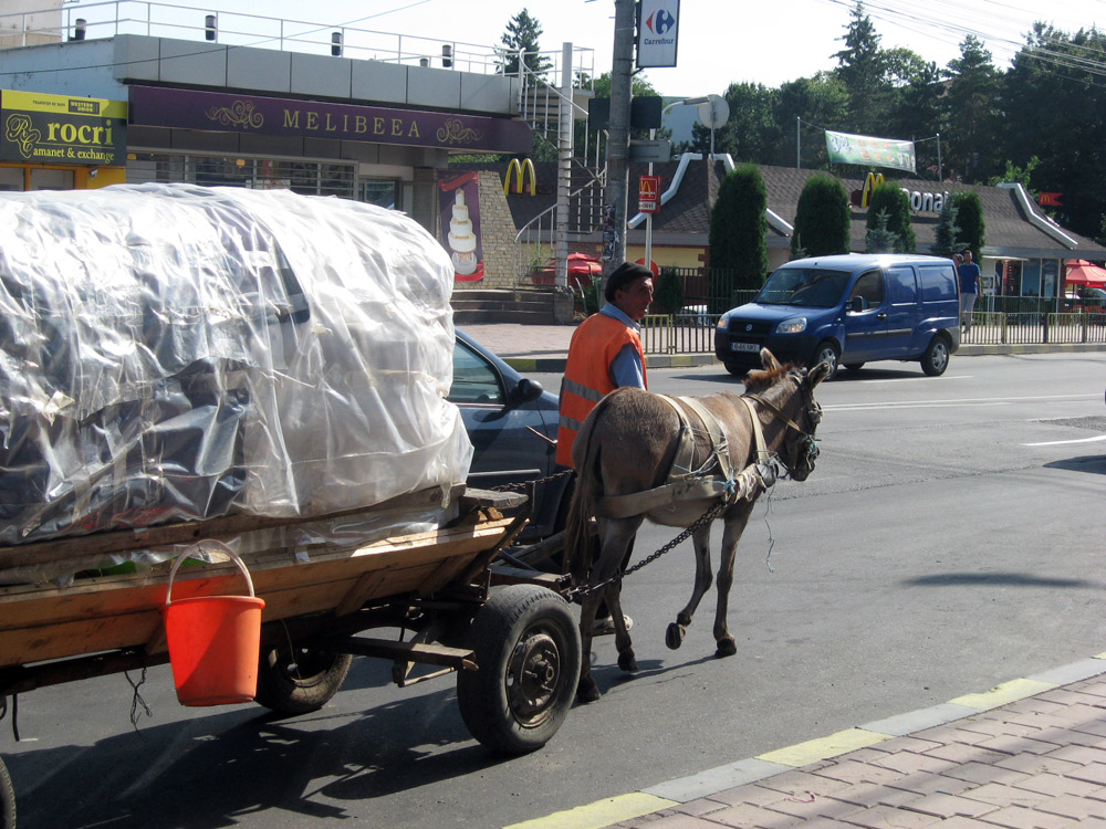 În trafic cu măgaru... Foto: Daniela MICUTARIU