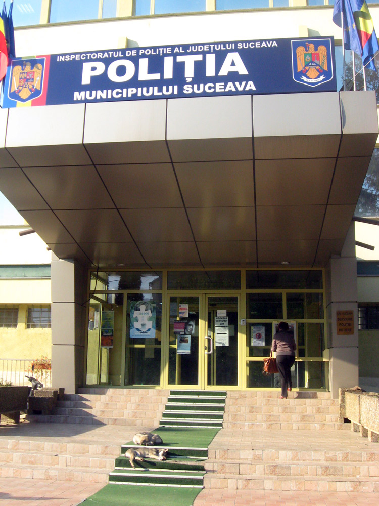 Câinii de pază ai poliţiei. Foto: Florin PAIU