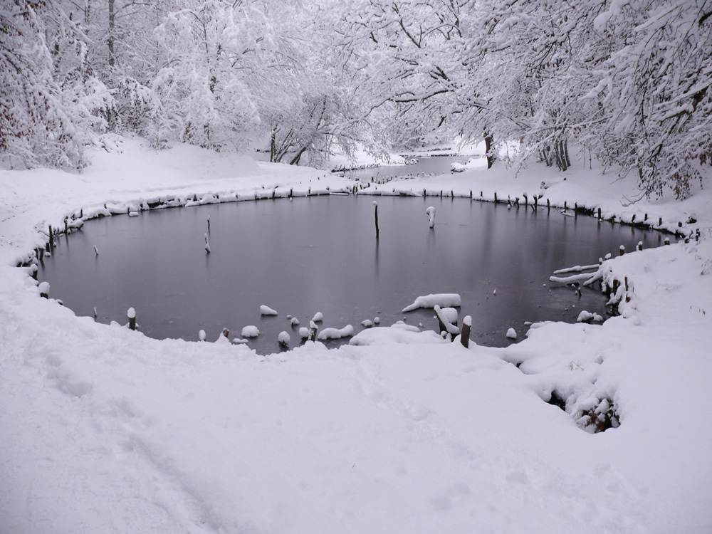 Iarna pe lac. Autor: Stelian Borhan